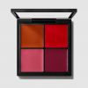 Pro Face Paleta: Blush